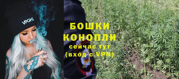 спиды Пестово